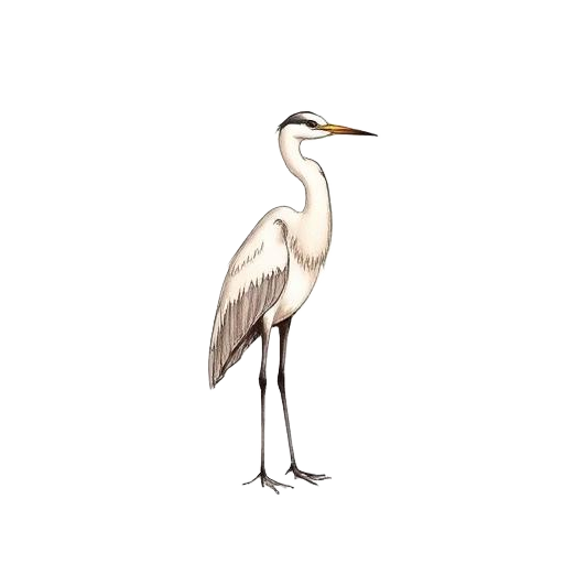 Sumatinatha — Heron emblem