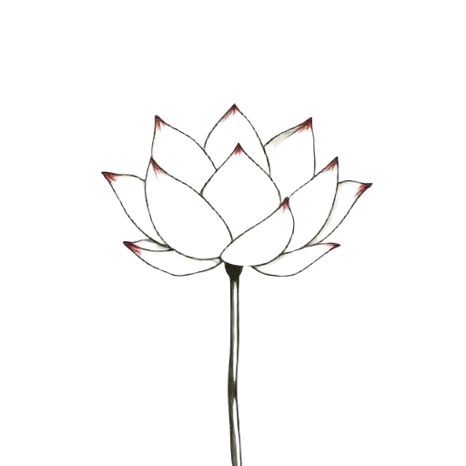 Padmaprabha — Lotus emblem